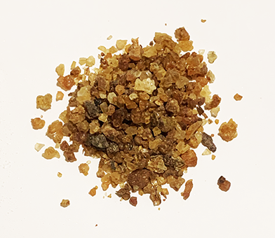 Myrrhe Commiphora myrrha